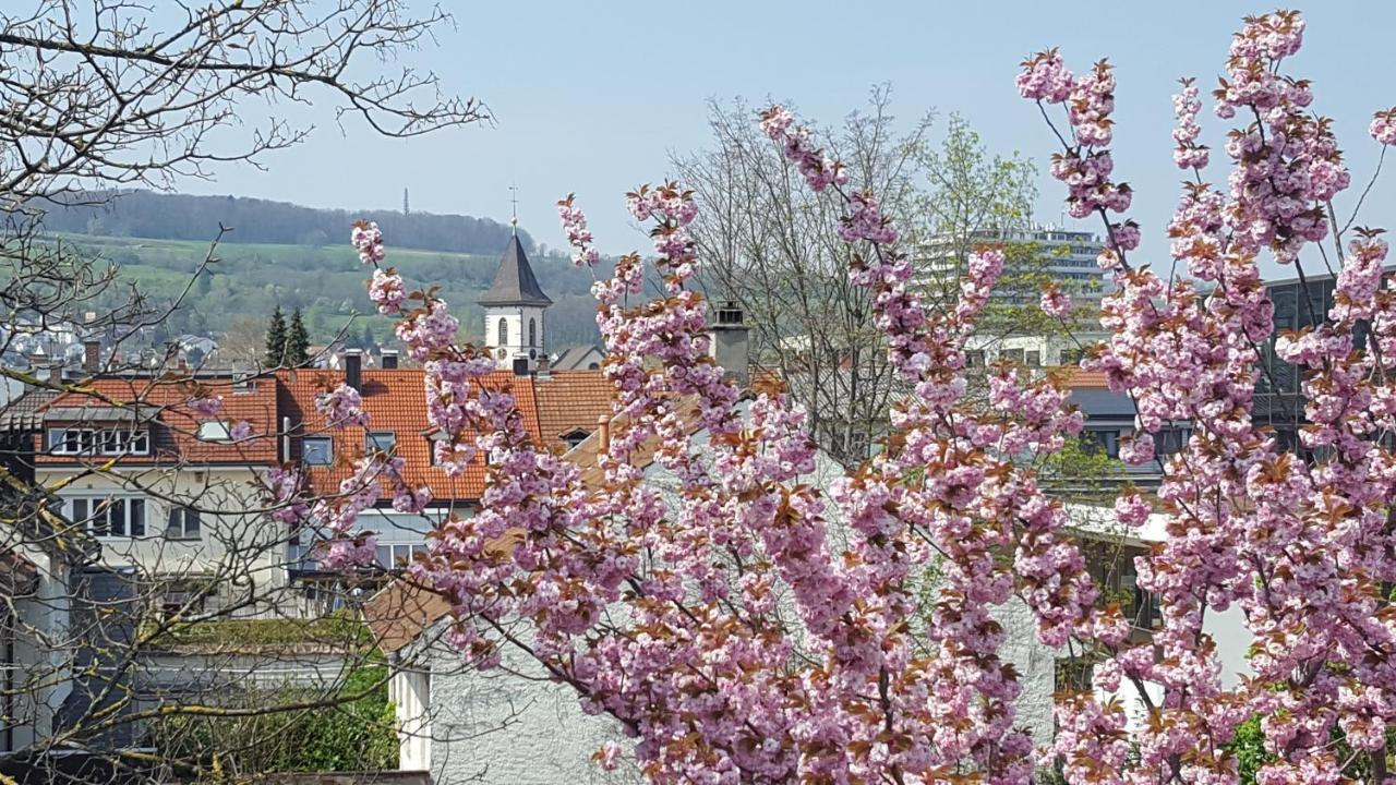 Villa Am Rosenfelspark 로라흐 외부 사진