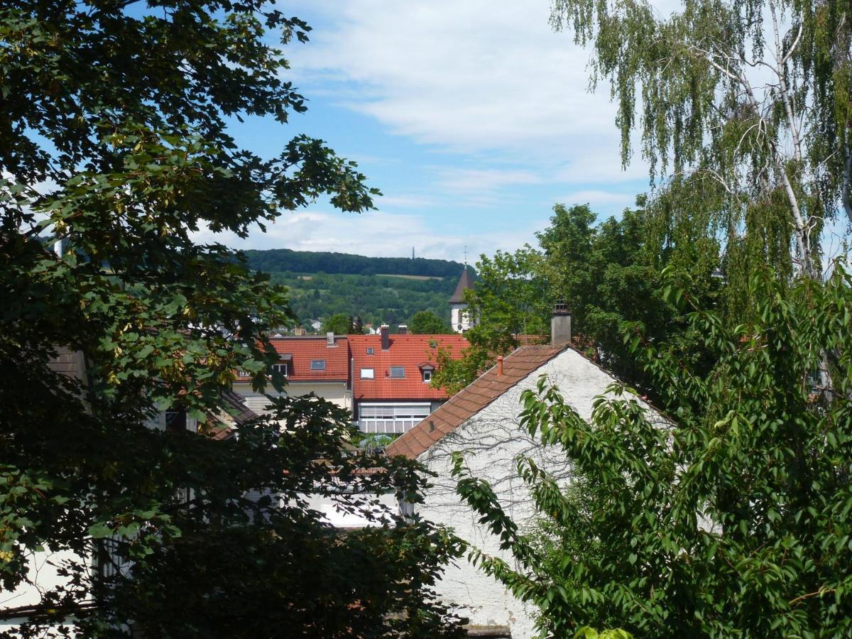 Villa Am Rosenfelspark 로라흐 외부 사진
