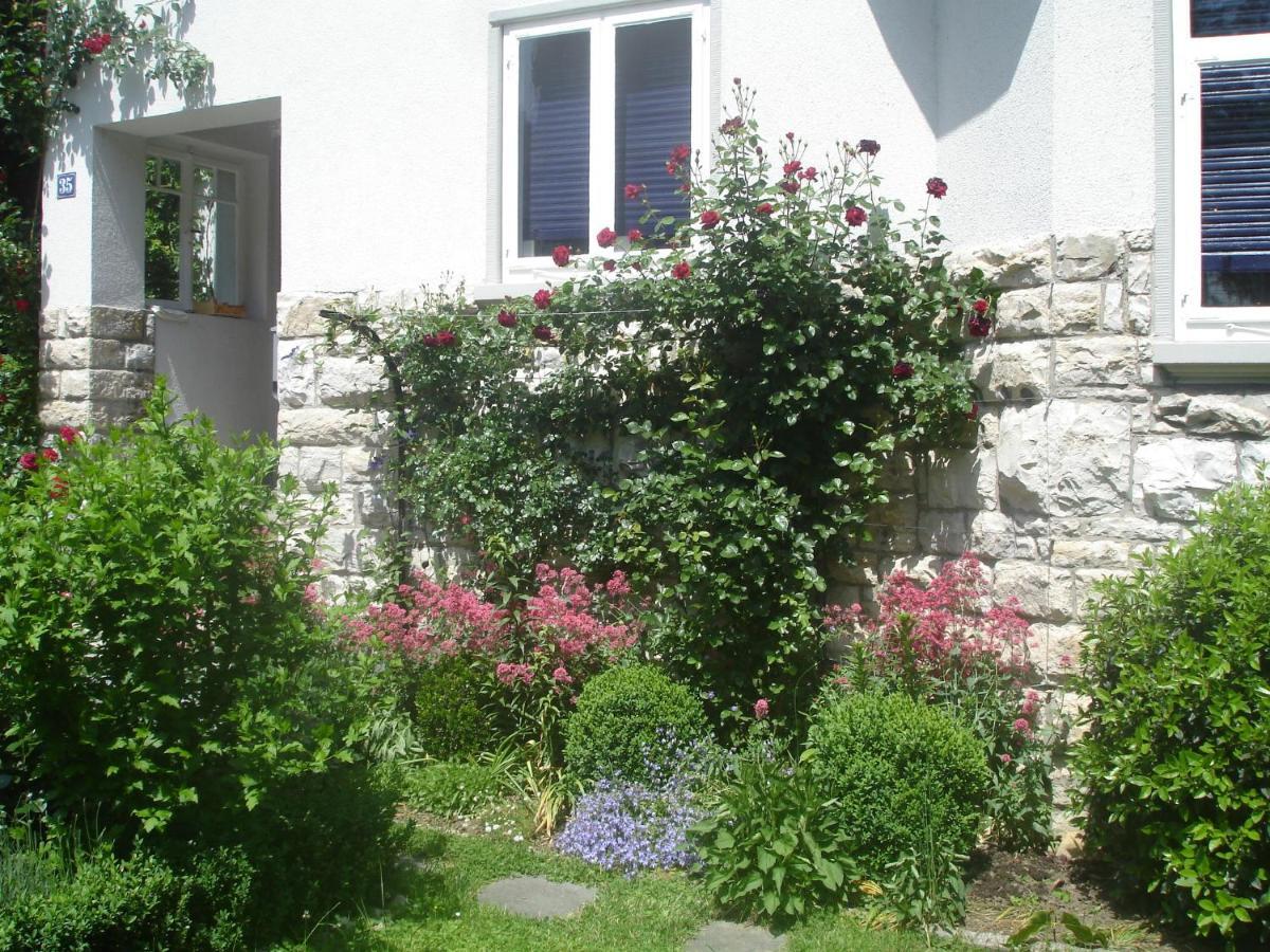 Villa Am Rosenfelspark 로라흐 외부 사진