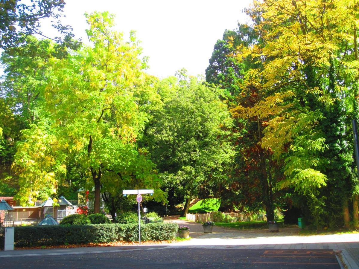 Villa Am Rosenfelspark 로라흐 외부 사진