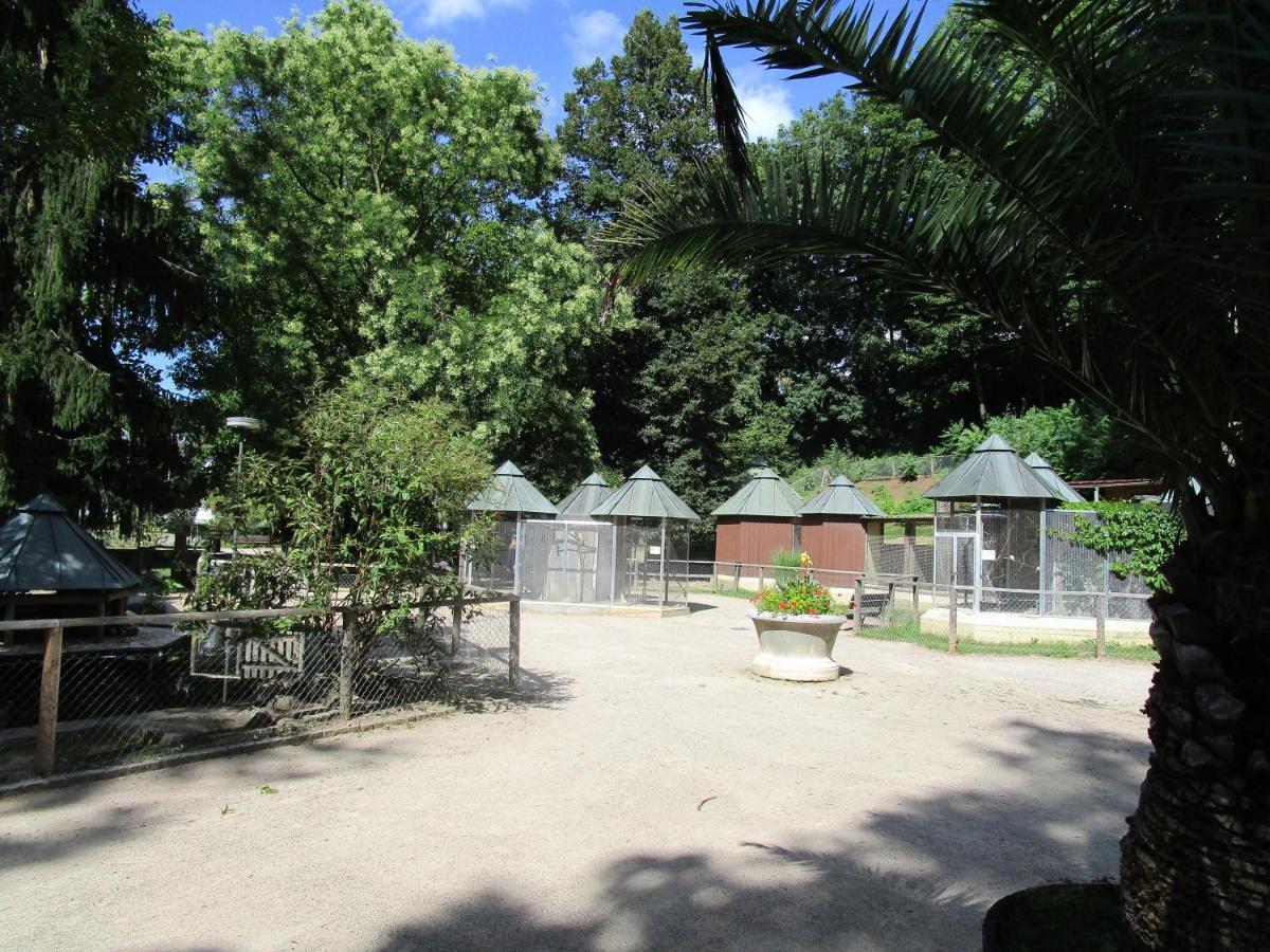Villa Am Rosenfelspark 로라흐 외부 사진